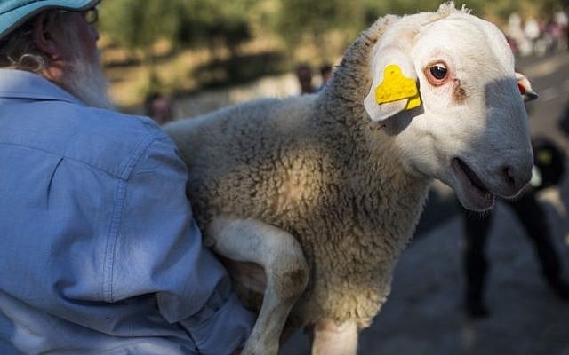 f160418hp35-e1461314704241-640x400